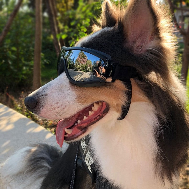Gafas de Sol para Perros – Protección UV y Estilo en Cada Paseo
