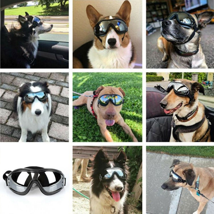 Gafas de Sol para Perros – Protección UV y Estilo en Cada Paseo