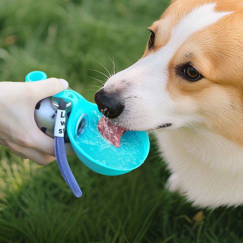 Botella de Agua Portátil para Perros – Hidratación en Cualquier Lugar