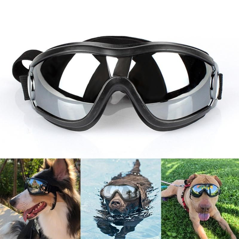 Gafas de Sol para Perros – Protección UV y Estilo en Cada Paseo